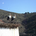 SAM_0848